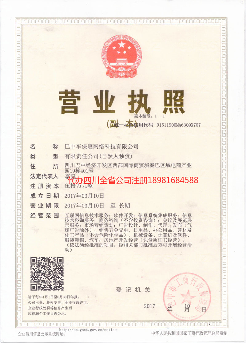 平武平武车保惠网络科技有限公司