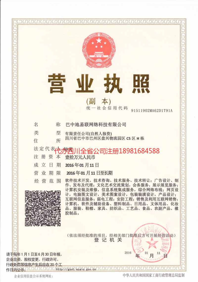 平武平武地易联网络科技有限公司